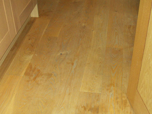 Wood Flooring Plymouth